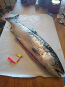 1/2oz Cotton Candy Hoochie, 8.50$, Spin-X Designs Tackle, Fishing Lure