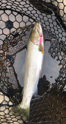 1/8oz, Classic Pink Ripper, $5.00, Spin-X Designs Tackle, Spinner