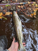 1/4oz, Pinky 🌸, $5.75, Rugged River Lure Edition, Spin-X Designs Tackle, Spinner