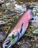 1/2oz, Seahawk Team Captain Twitching Jig, Spin-X Designs Tackle, Salmon